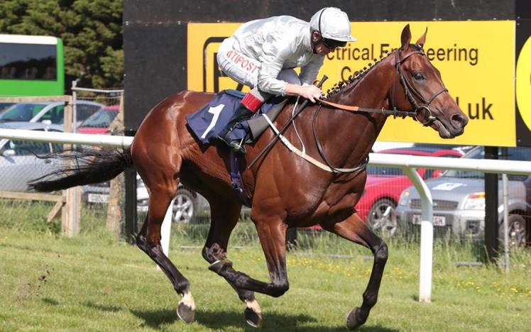 Read about the latest racing action at Brighton in our Summer race report from 3 June 