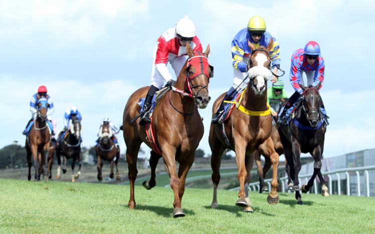 August Racing Fixtures at Brighton Racecourse 