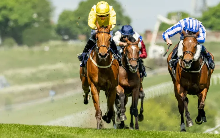 Horses thundering around the track at Brighton Racecourse