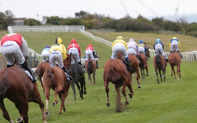 Brighton Racecourse Autumn flat racing report 