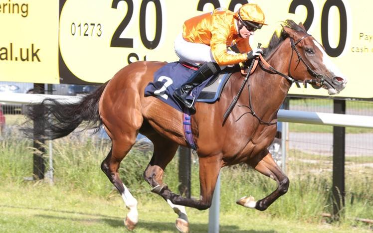 Horse racing at Brighton Racecourse in July