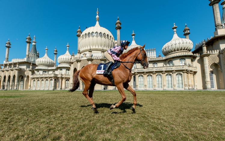 TIME TO PLACE YOUR BETS: BRIGHTON WELCOMES THE MARATHONBET FESTIVAL OF RACING