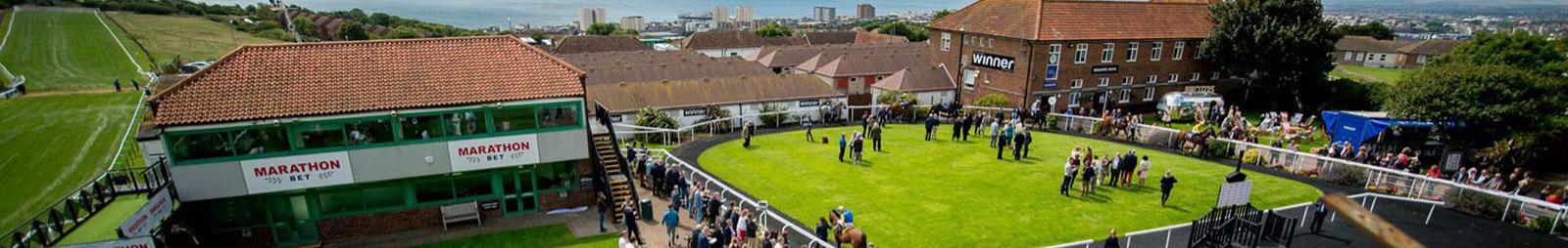 An aerial view of the parade ring at Brighton Racecourse.