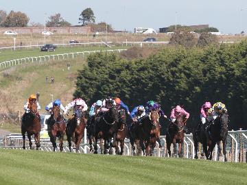 Horses racing at Brighton Racecourse