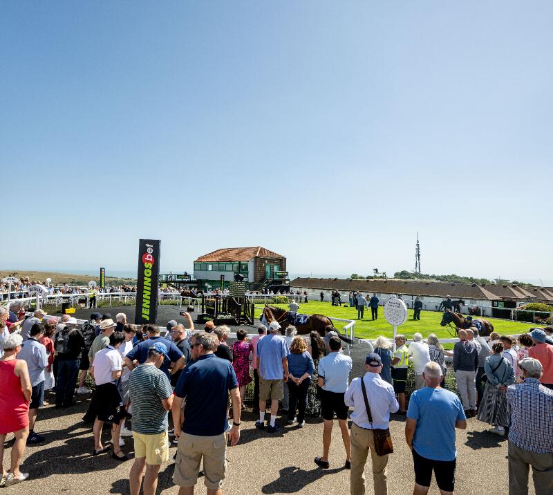 A view of the parade ring and view over the sea at Brighton Racecourse
