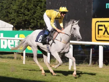 roy rocket brighton festival of racing