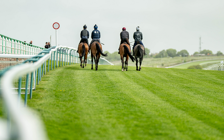 Gallopers on Brighton Racetrack