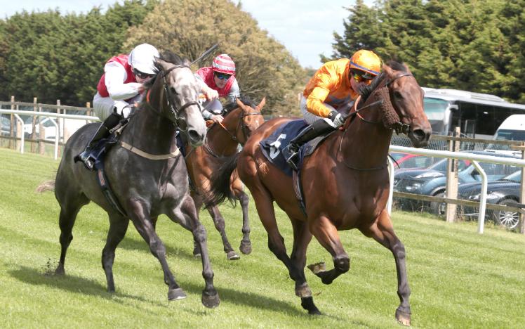 Race Report - 20th August at Brighton Racecourse