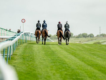 Gallopers at Brighton
