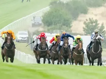 Horse race