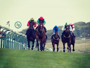 Horse Racing at Brighton Racecourse