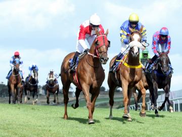 August Racing Fixtures at Brighton Racecourse 