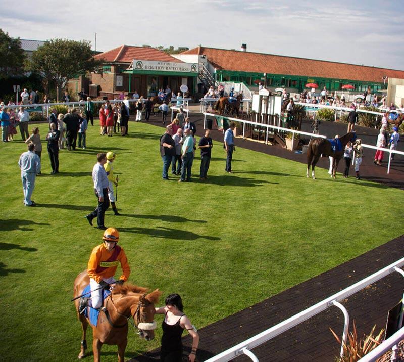Racecourse Tours Brighton Racecourse