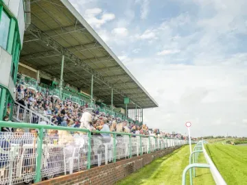 The crowds in the grandstand at Brighton overlooking the track in the sun