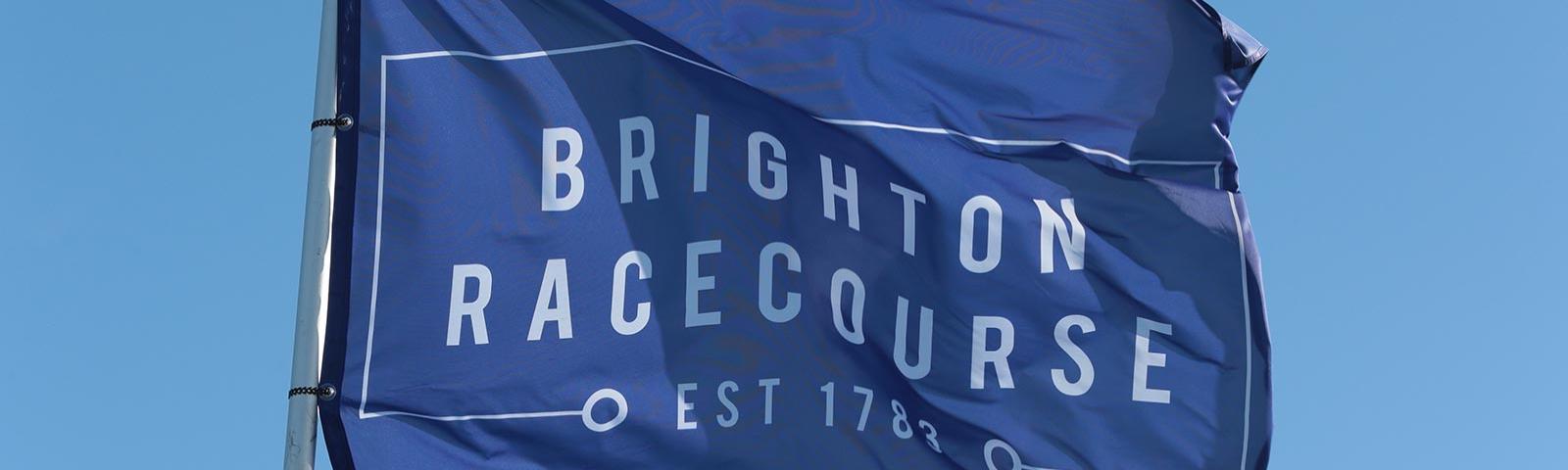 The blue flag of Brighton Racecourse.